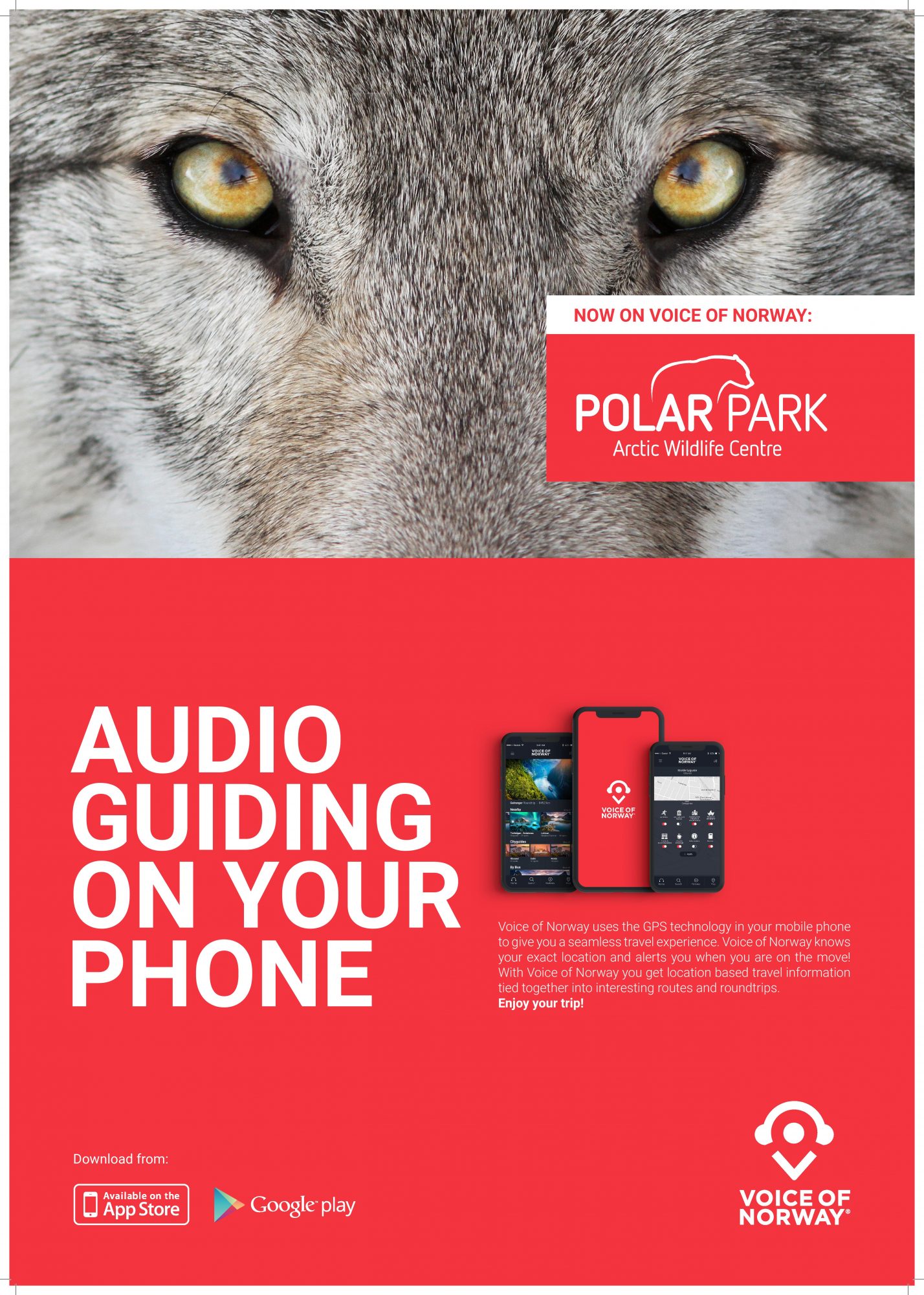 Polar Park Arctic Wildlife Centre Audioguide Lydguide Zoo