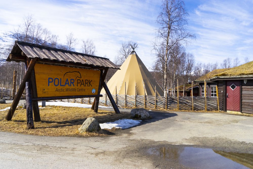 Utendørs lydguide Polar Park Bardu Dyrehage Zoo Arctic Outdoor