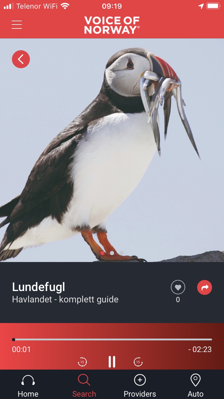 Voice-Of-Norway-lundefugl-audiovisuell-reiseguide-turistguide-app