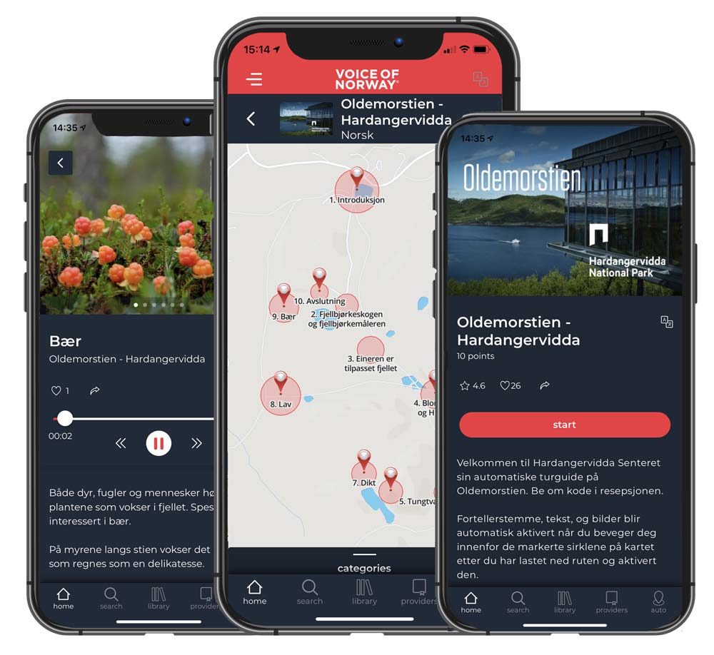 Audioguide hos Hardangervidda Nasjonal Park
